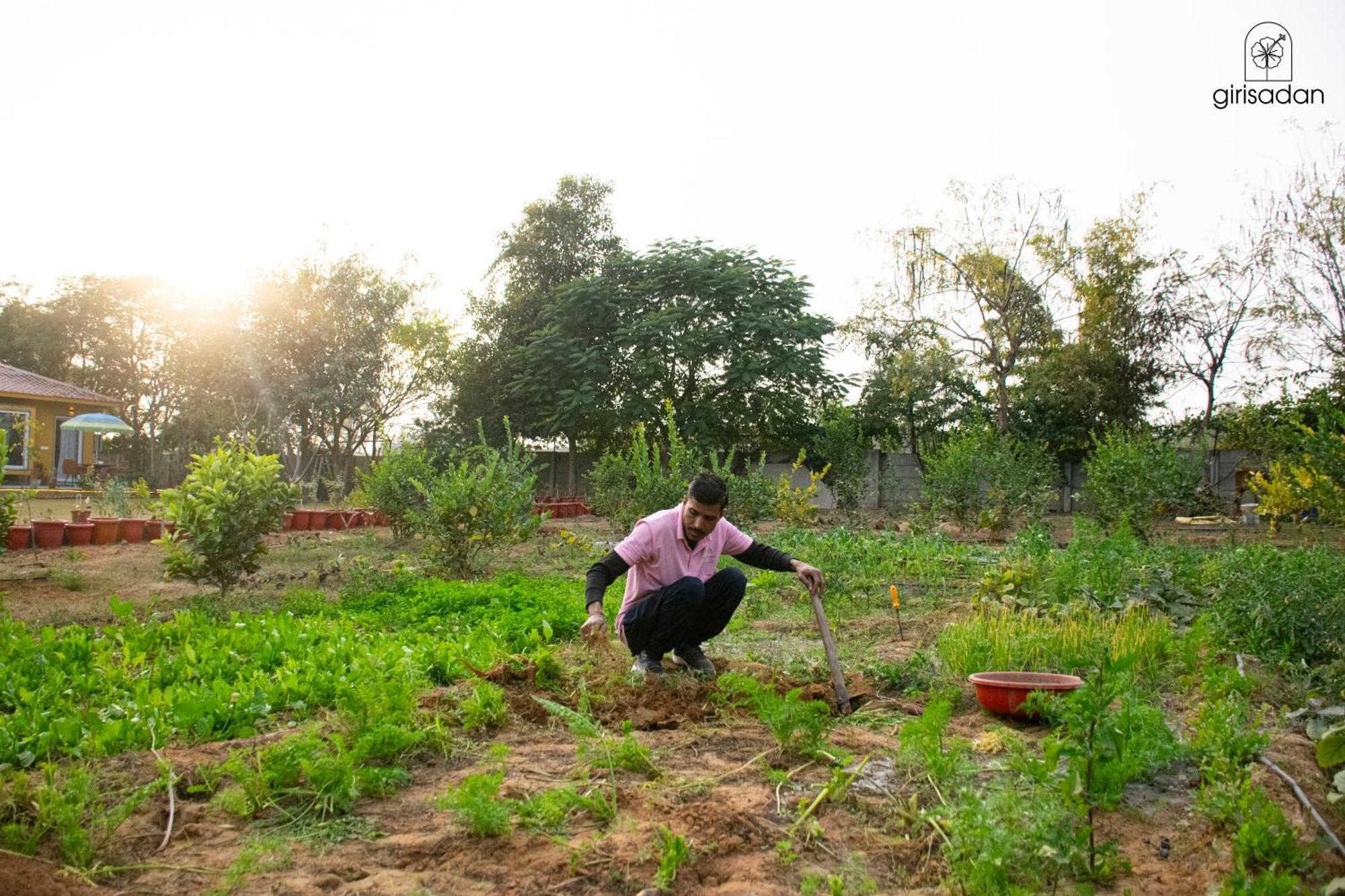 Girisadan Organic Farm Retreat & Botanical Forest Farm stay Jaipur
